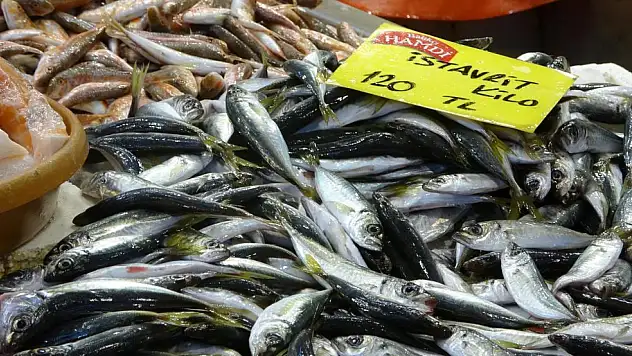 Hamsideki Azalma Fiyatları Etkiledi