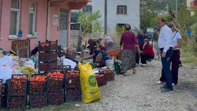 Hanönü'nde Kış Hazırlıkları Başladı