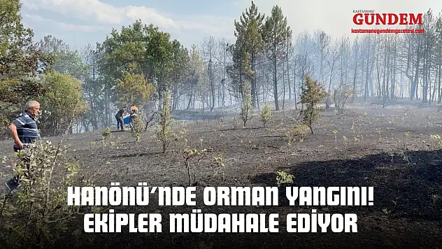Hanönü'nde Orman Yangını! Ekipler Müdahale Ediyor