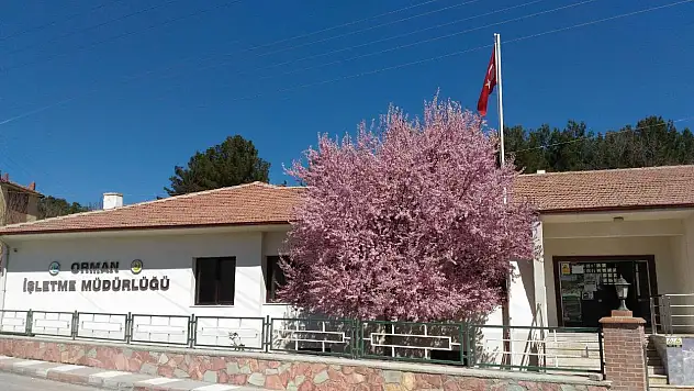 Hanönü Orman İşletme Müdürlüğü'nden Önleme Çalışması