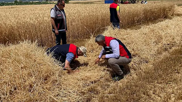 Hasat Alanlarında Denetim: Üreticilere Kritik Uyarı!