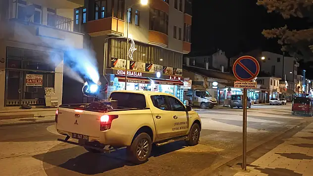 Haşerelere Karşı İlaçlama Çalışmaları Aralıksız Sürüyor