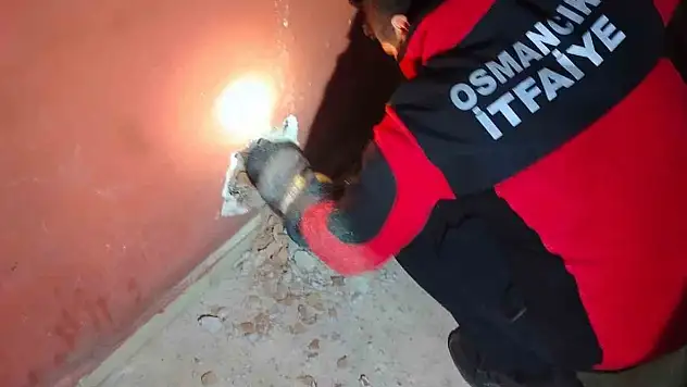 Havalandırma Boşluğuna Düşen Kediyi İtfaiye Kurtardı