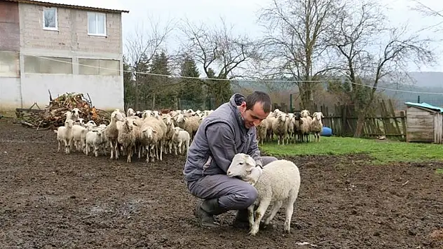 Hayvan Başına Destek Ödemesi