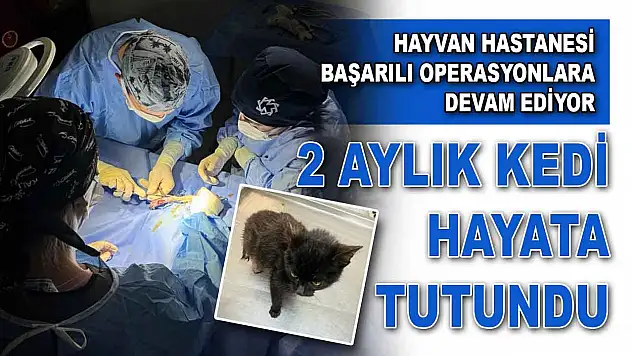 Hayvan Hastanesi Başarılı Operasyonlara Devam Ediyor