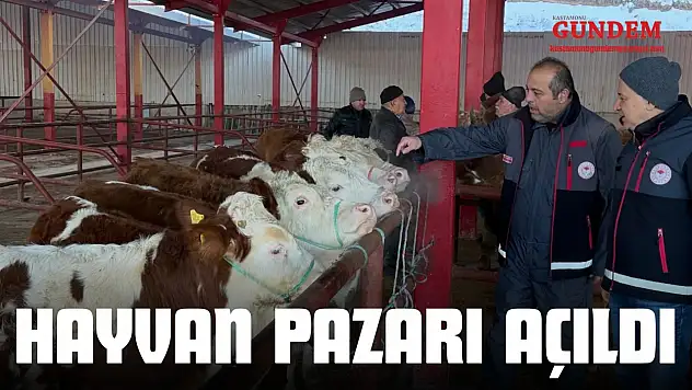Hayvan Pazarı Açıldı