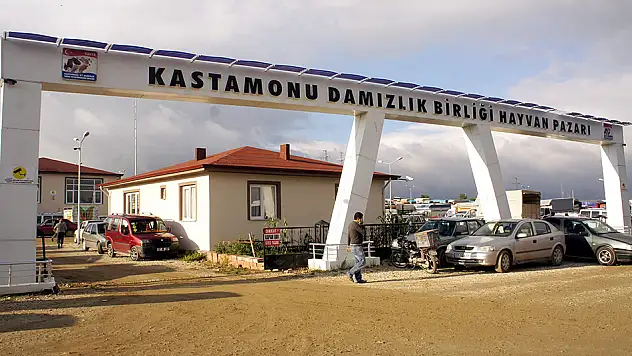 Hayvan Pazarı açılıyor