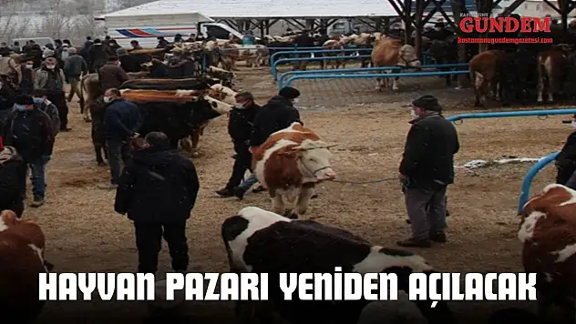 Hayvan Pazarı Yeniden Açılacak