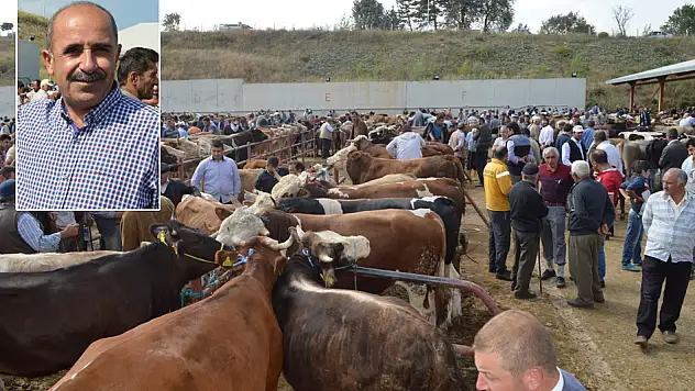 Hayvan Pazarı'nda kurban hareketliliği başladı