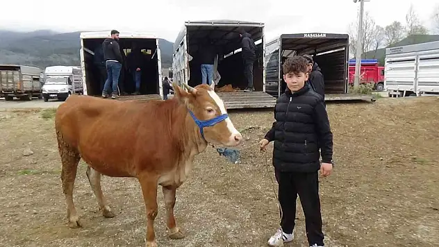 Hayvan Pazarının En Küçük Celepçisi Kurbanlık Satıyor