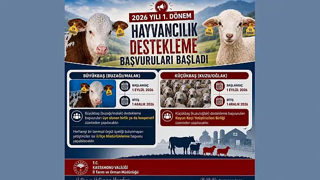 Hayvancılık Desteklerinde Başvurular Başladı