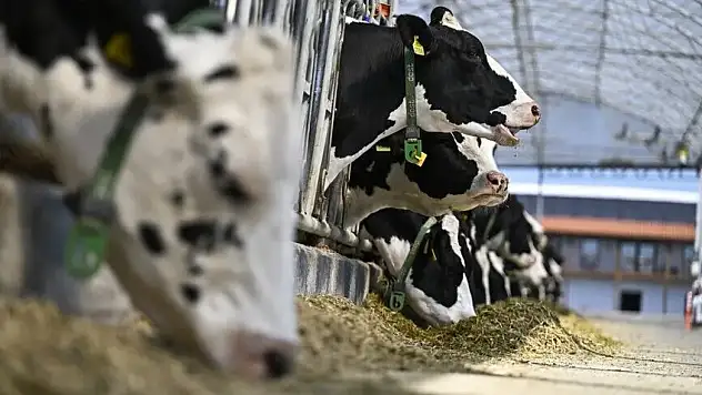 Hayvancılık İşletmelerinde Yeni Dönem Başlıyor