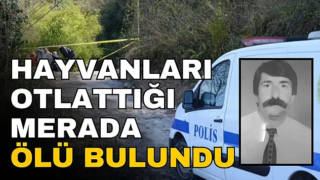 Hayvanları Otlattığı Merada Ölü Bulundu
