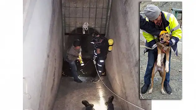 HES kanalına düşen köpeği AFAD kurtardı