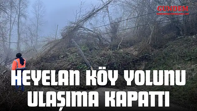 Heyelan Köy Yolunu Ulaşıma Kapattı