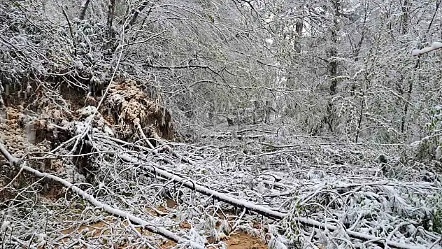 Kapanan Yol Yeniden Ulaşıma Açıldı