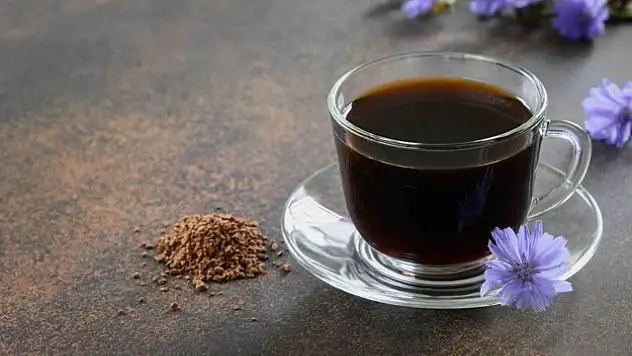 Hindiba Kahvesi Sağlığa Şifa Sunuyor