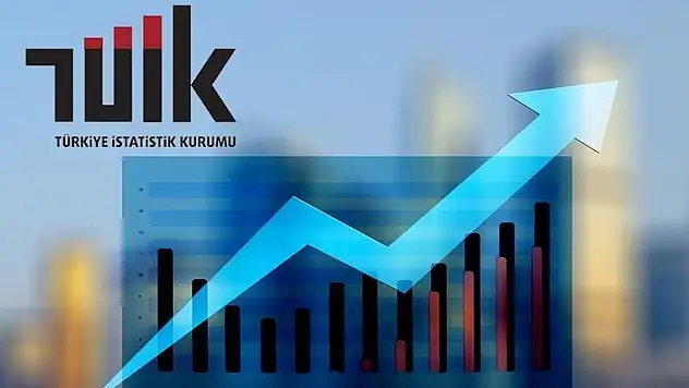 İhracatın Yüzde 44,4'ünü Büyük Ölçekli Girişimler Gerçekleştirdi