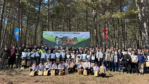 İhsangazi'de 'Dünya Ormancılık Günü' Etkinliği Düzenlendi
