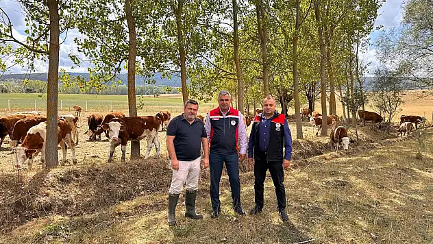 İhsangazi'de Hayvancılık İşletmesi Ziyaret Edildi