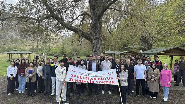 İhsangazi'de 'Sağlık İçin Hareket Et Günü' Yürüyüşü Düzenlendi
