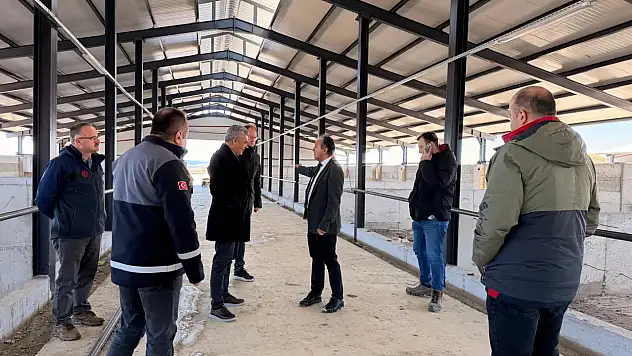 İl Tarım'dan Devrekani Besi Organize Tarım Bölgesinde İnceleme