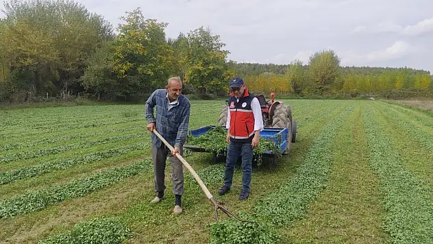 İl Tarım'dan Taşköprü'de Saha Ziyareti