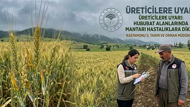 İl Tarım Ve Orman Müdürlüğü'nden Uyarı: Hububatta Mantari Hastalık Riski