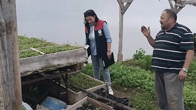 İl Tarım Ve Orman Müdürlüğü Saha İncelemelerini Aralıksız Sürdürüyor