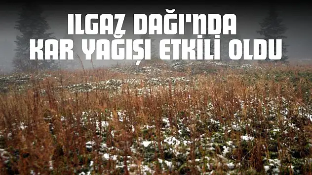 Ilgaz Dağı'nda Kar Yağışı Etkili Oldu