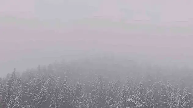 Ilgaz Dağı'nda Kar Yağışı Etkili Oldu