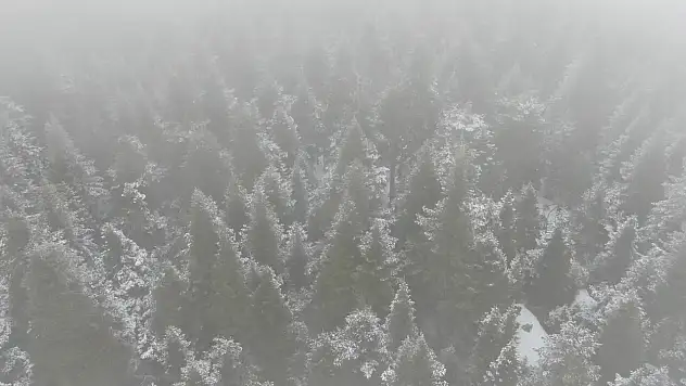 Ilgaz Dağı'nda kar yağışı