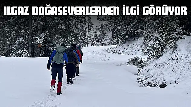 Ilgaz Doğaseverlerden İlgi Görüyor