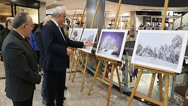 İlimizin kış güzelliği fotoğraflara taşındı