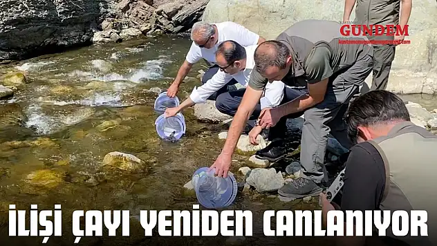 İlişi Çayı Yeniden Canlanıyor