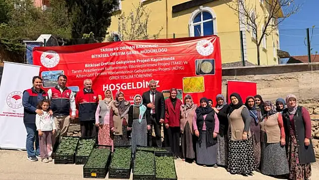 İnebolu'da Fide Dağıtımı Gerçekleştirildi