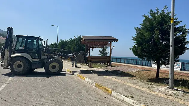 İnebolu'da Kamelyalar Geri Döndü