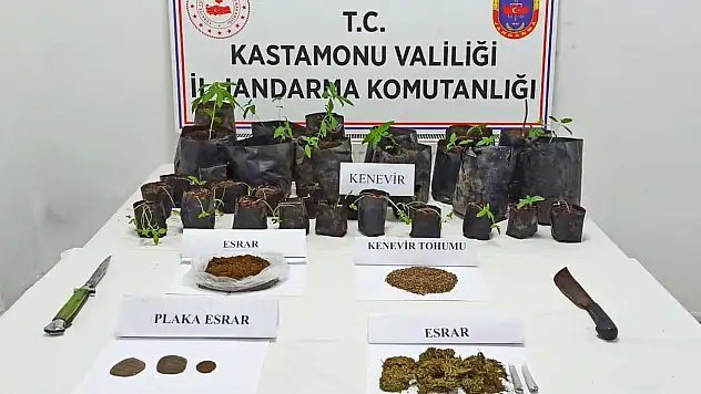 İnebolu'da uyuşturucu operasyonu