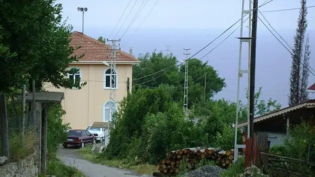 İnebolu'ya şap karantinası