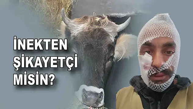İlginç Soru!