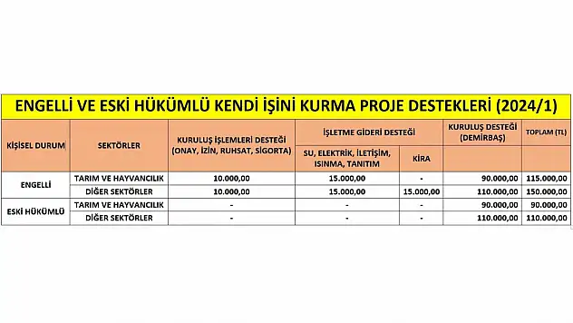 İŞKUR hibe desteği başvuruları başladı