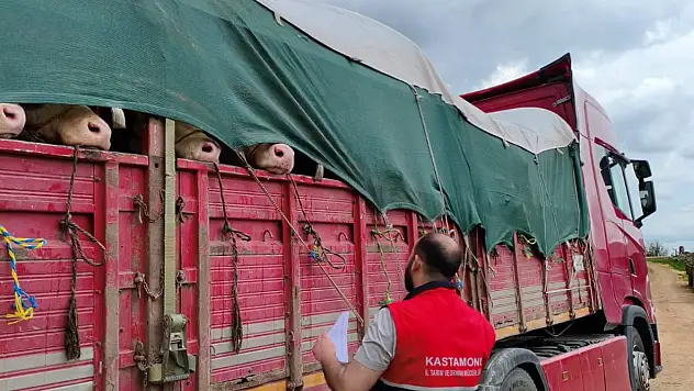 İstanbul Avrupa Yakasına Kurbanlık Sevkleri Başladı
