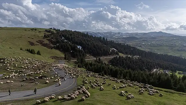 İstihdamın, Sektöre Nefes Aldırması Bekleniyor