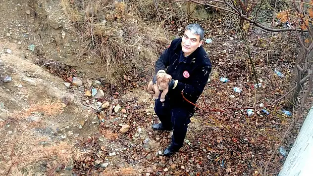 İstinat Duvarından Düşen Köpek Kurtarıldı