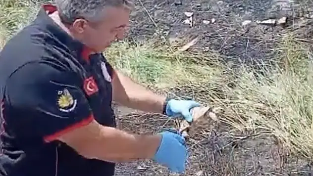 İtfaiye ekipleri yangından kurtardıkları kaplumbağayı suyla serinletti