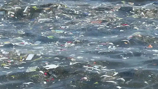 İzmir Körfezi'nde Balık Ölümleri Sürüyor