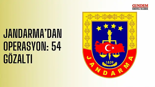 Jandarma'dan Operasyon: 54 gözaltı