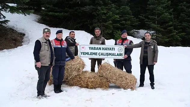 Jandarma Doğaya Yem Bıraktı