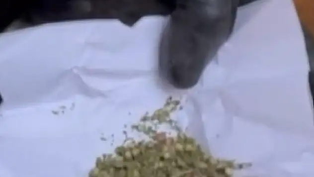 Jandarmadan Nefes Kesen Eş Zamanlı Operasyon: 6 Gözaltı