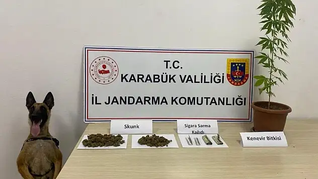 Jandarmadan Uyuşturucu Operasyonu
